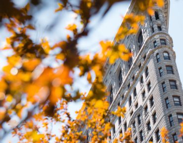 Flatiron building in New York City framed by a branch of fall leaves in the foreground